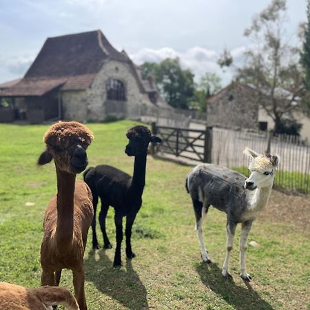 Gite La Borie Фон Экстерьер фото